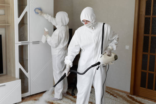 24/7 Emergency Odor Removal experts in Paso Robles, CA