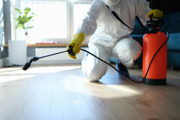 Reliable Odor Removal contractor in Paso Robles, CA by Dulley Family Biohazard Services